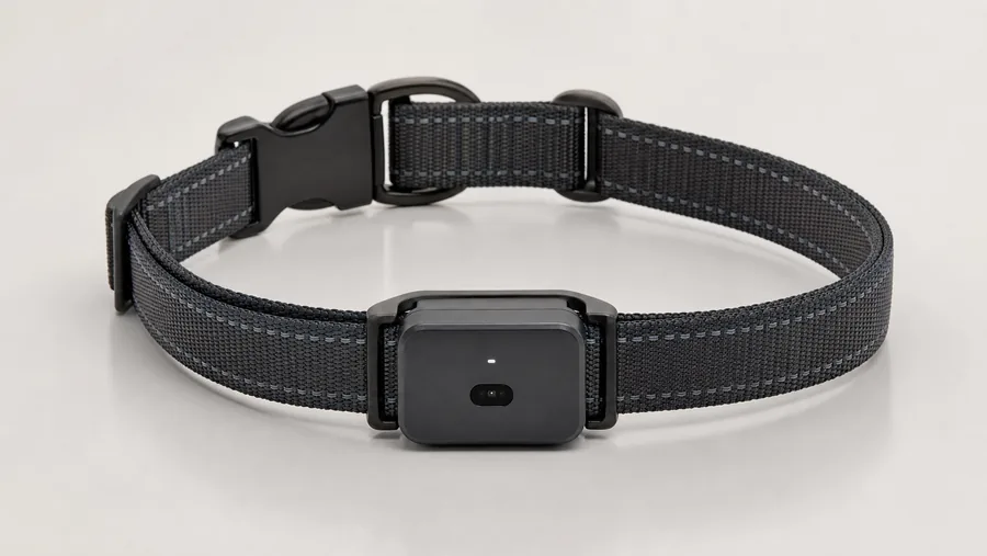 PawRelay Lite GPS dog collar product design